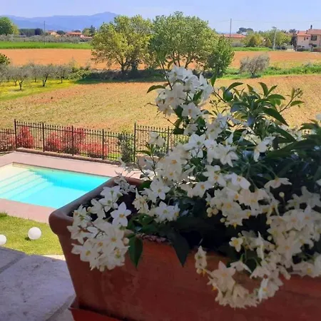 Villa Sunny Hill Monte San Savino